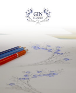 Illustrazioni Gin Glacialis